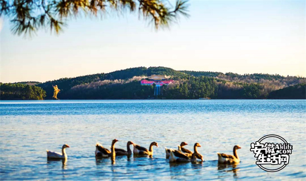 ag�ٷ�����ƽ̨(����)��ҳ