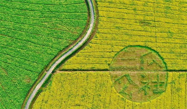 ag�ٷ�����ƽ̨(����)��ҳ