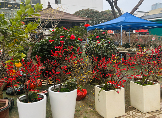 ag�ٷ�����ƽ̨(����)��ҳ